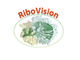 RiboVision Logo