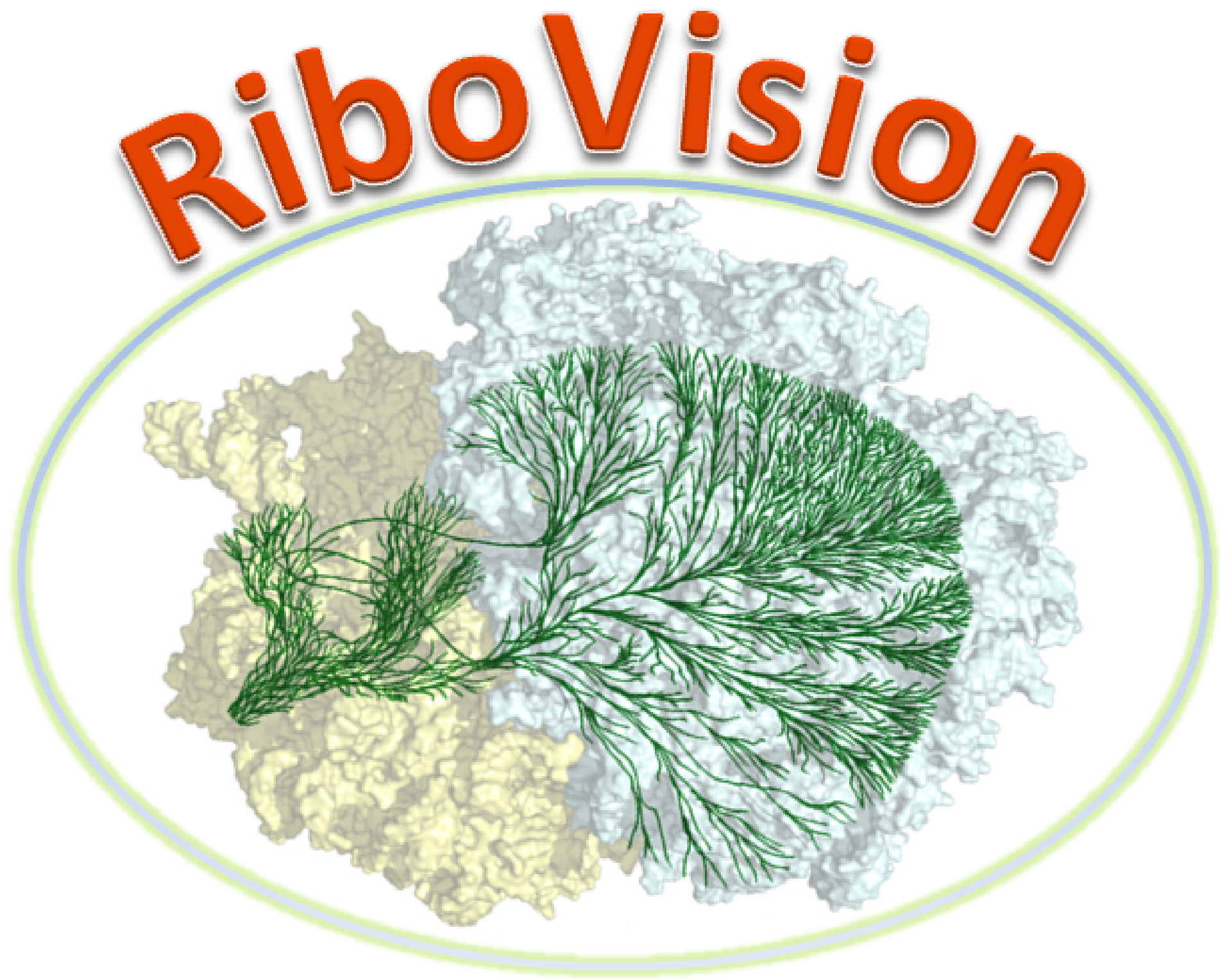RiboVision Logo