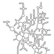 E coli LSU Contour Line