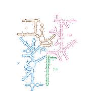 E coli SSU Domains 2