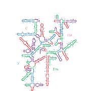 E coli SSU Helices 1