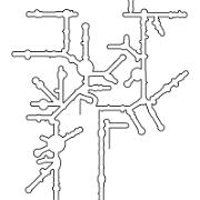 chloro-S oleracea SSU Contour Line